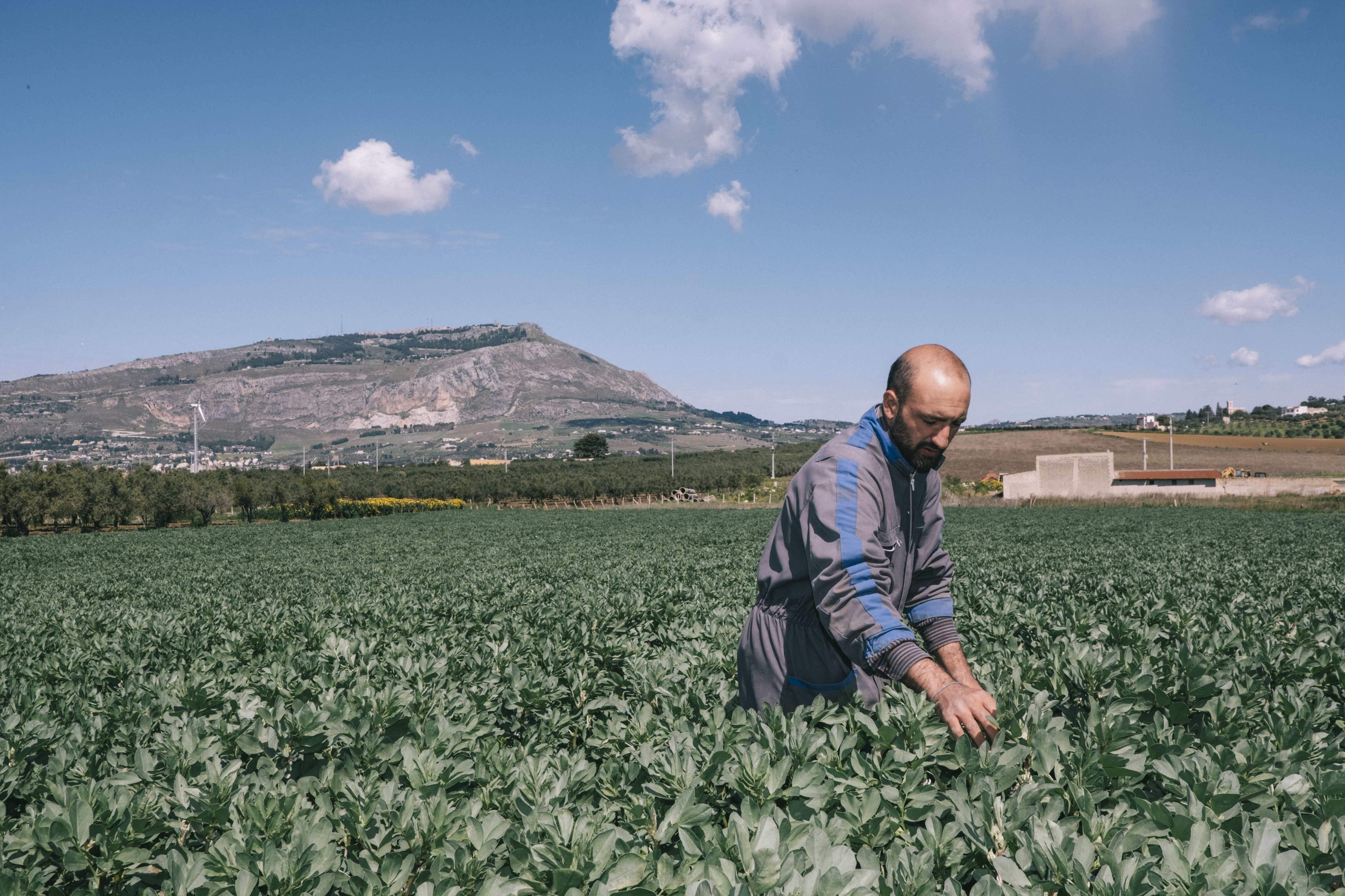  Baglio Ingardia  a Trapani 
