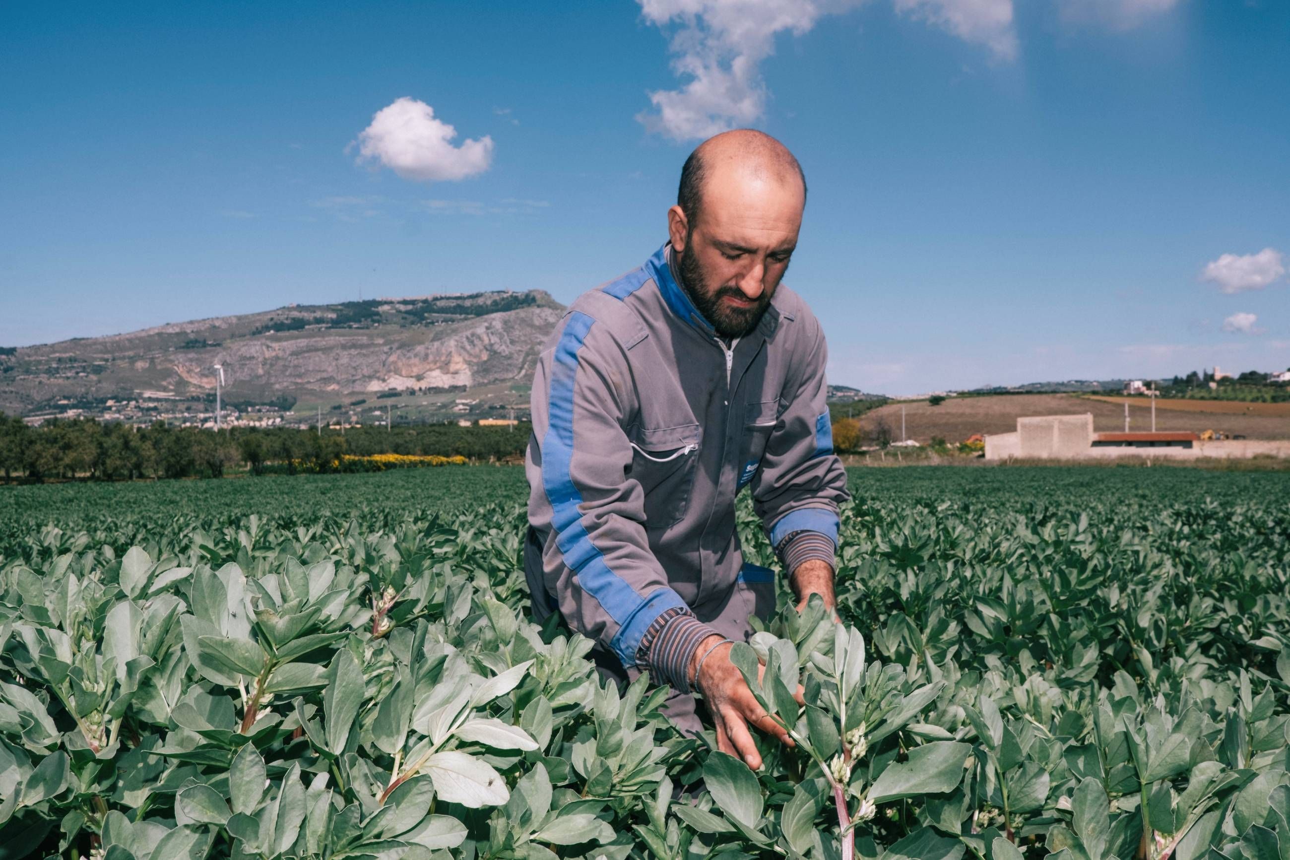  Baglio Ingardia  a Trapani 
